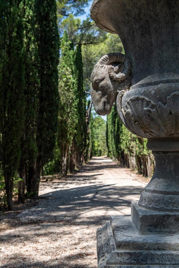 Chateau Martinay Hotel Carpentras Buitenkant foto
